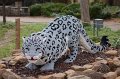 Kids_DFWzoo_3-2016 (11)